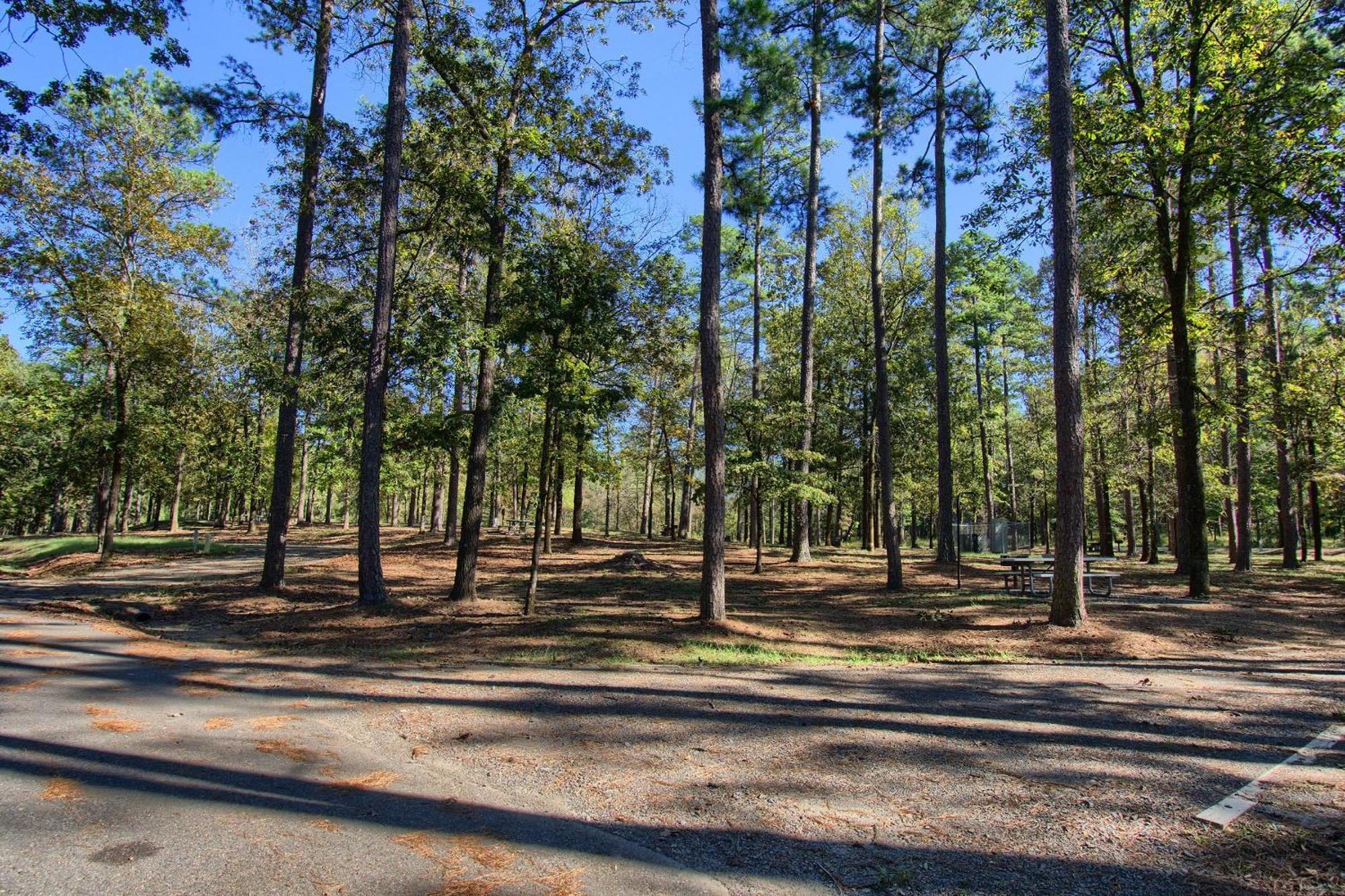 The Americana - Parker Creek Bend Cabins Murfreesboro Eksteriør bilde